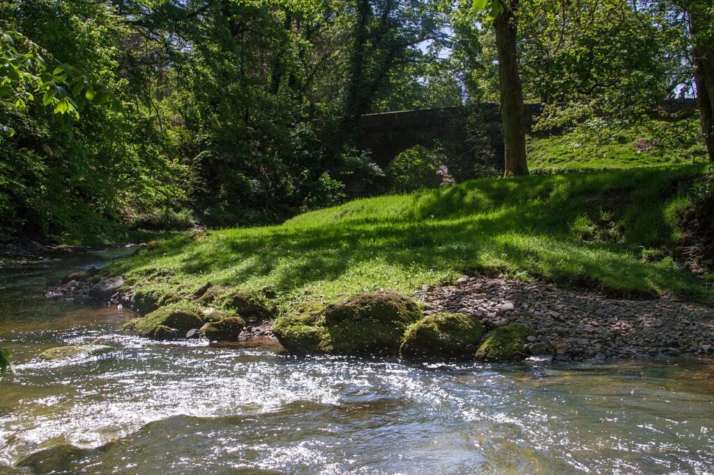 River Dane at Danebridge, Wincle