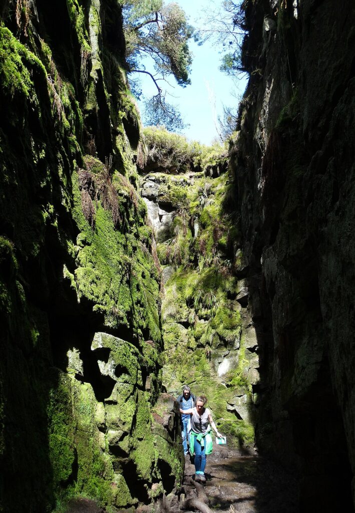 Lud's Church chasm near Gradbach, Peak District